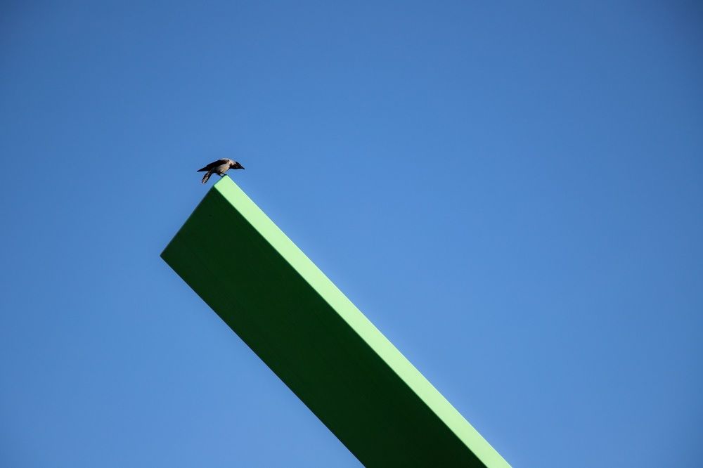 Photograph by Oksana Troshina