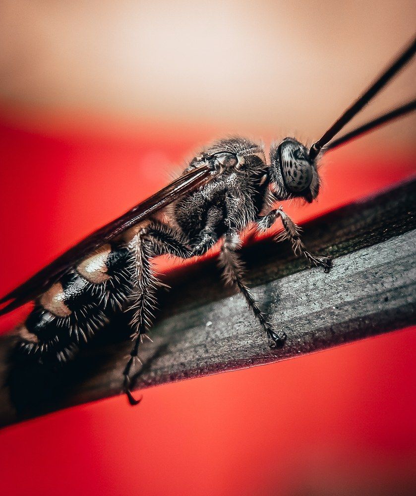 Photograph by Jinoy Gabriel