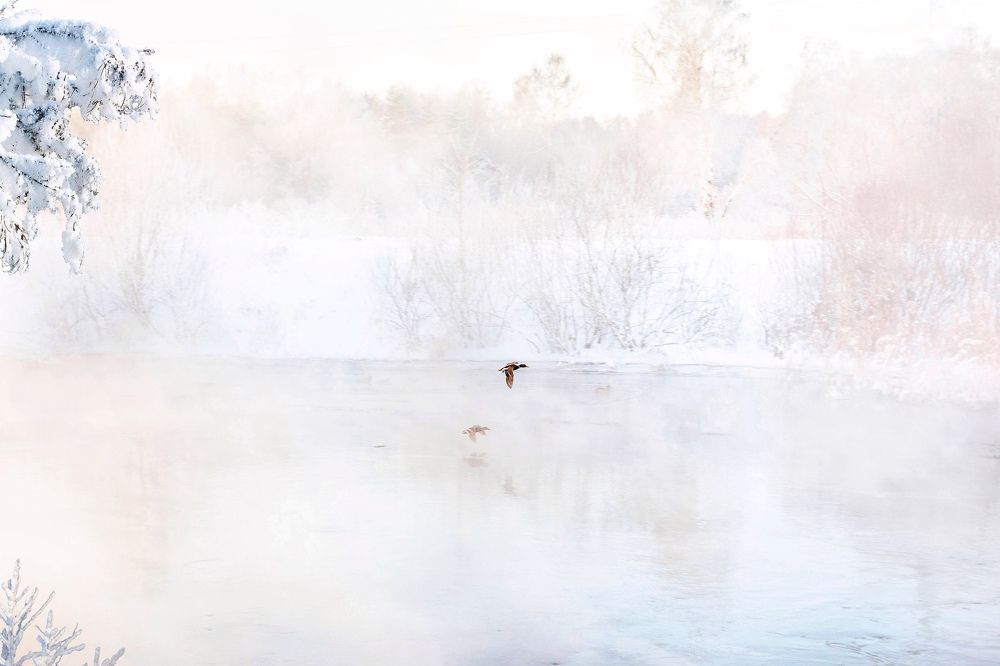 Photograph by Владислав Мотузенко