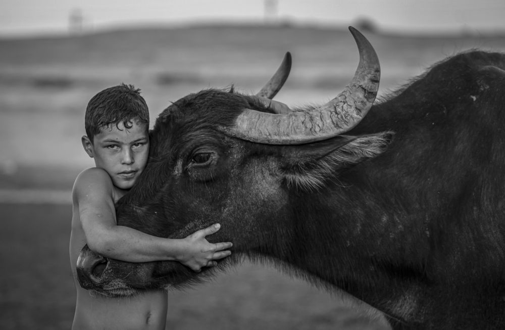 Photograph by arash radmanesh