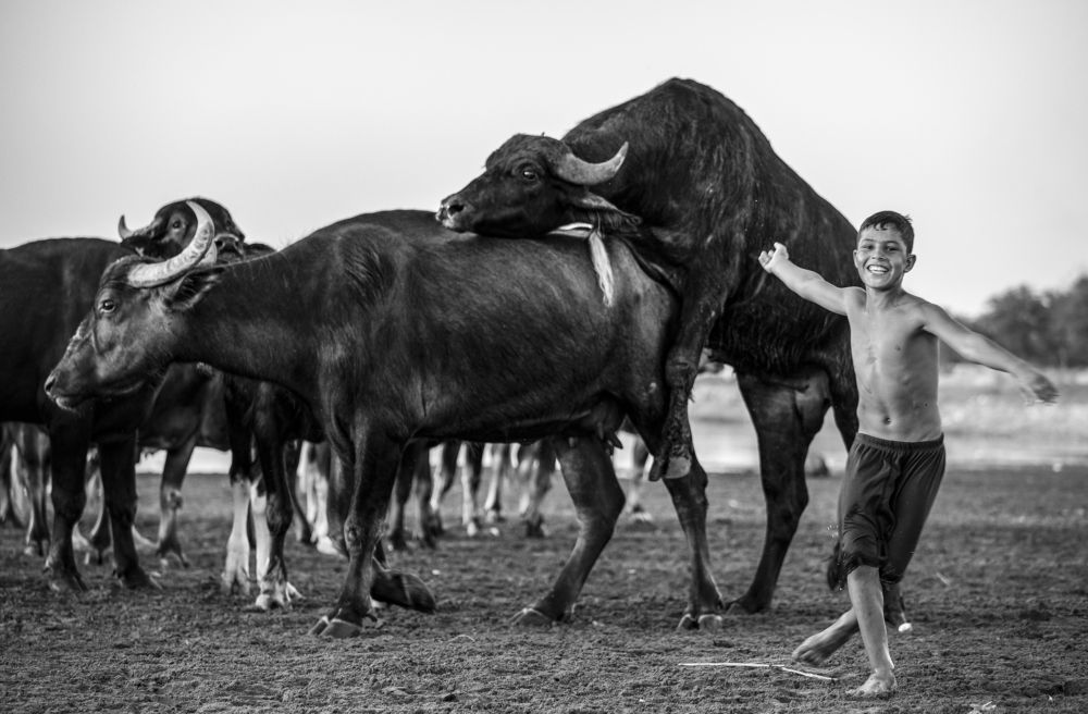 Photograph by arash radmanesh