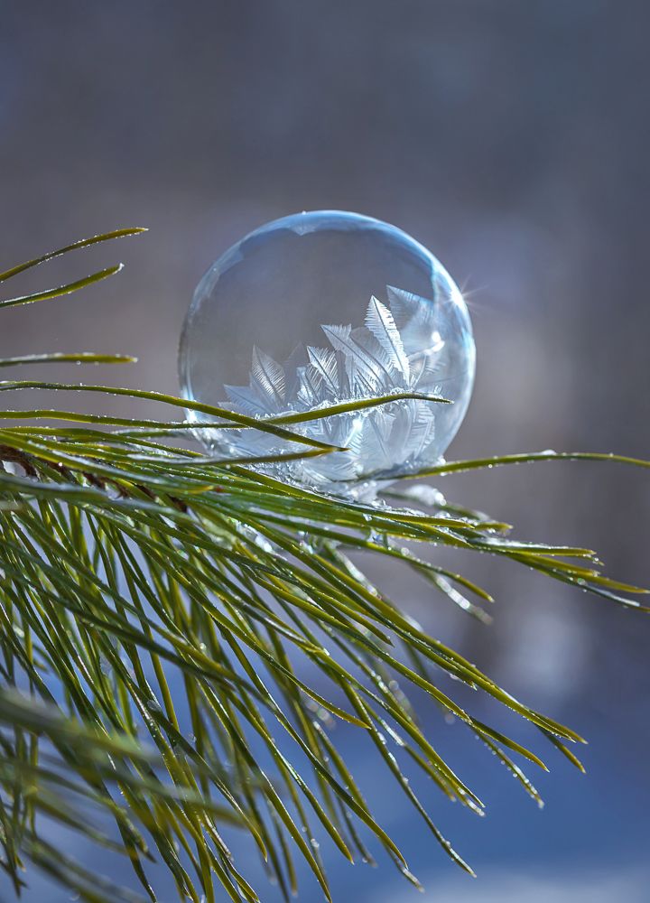 Фотография автора Andrey Pristyazhnyuk