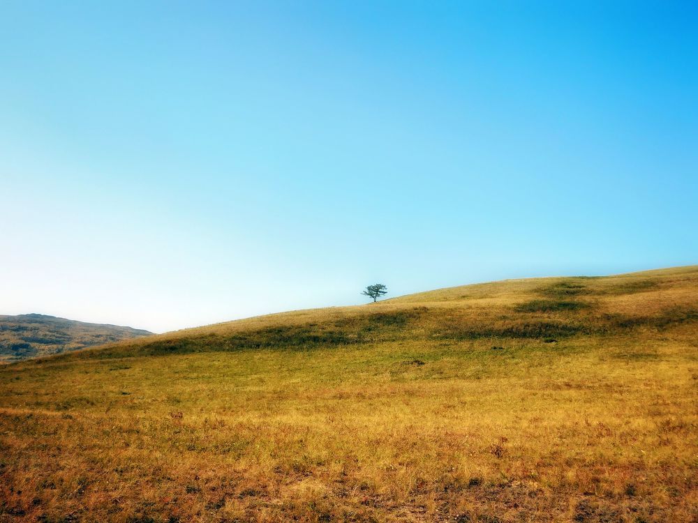 Photograph by Александр Гром