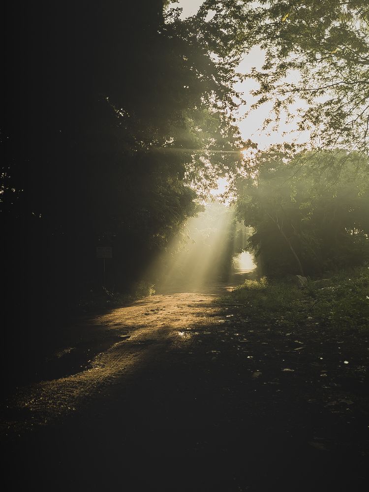 Photograph by Sai udeep sagar Yadalla