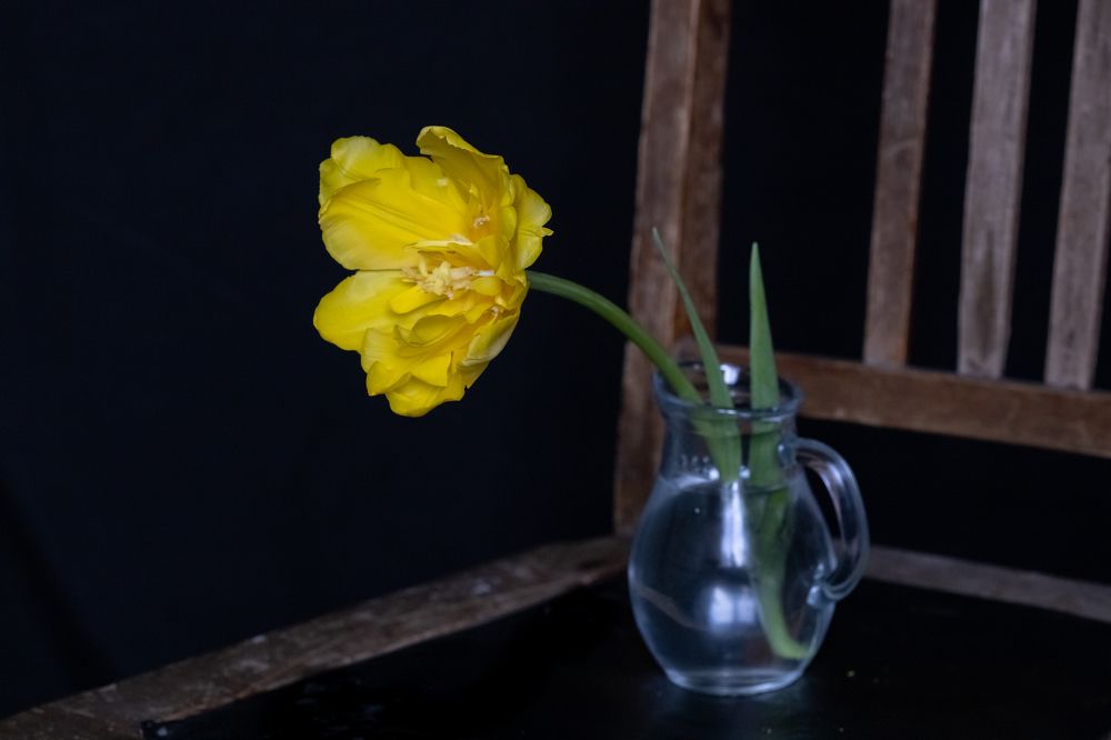 Photograph by Оксана Корчагина