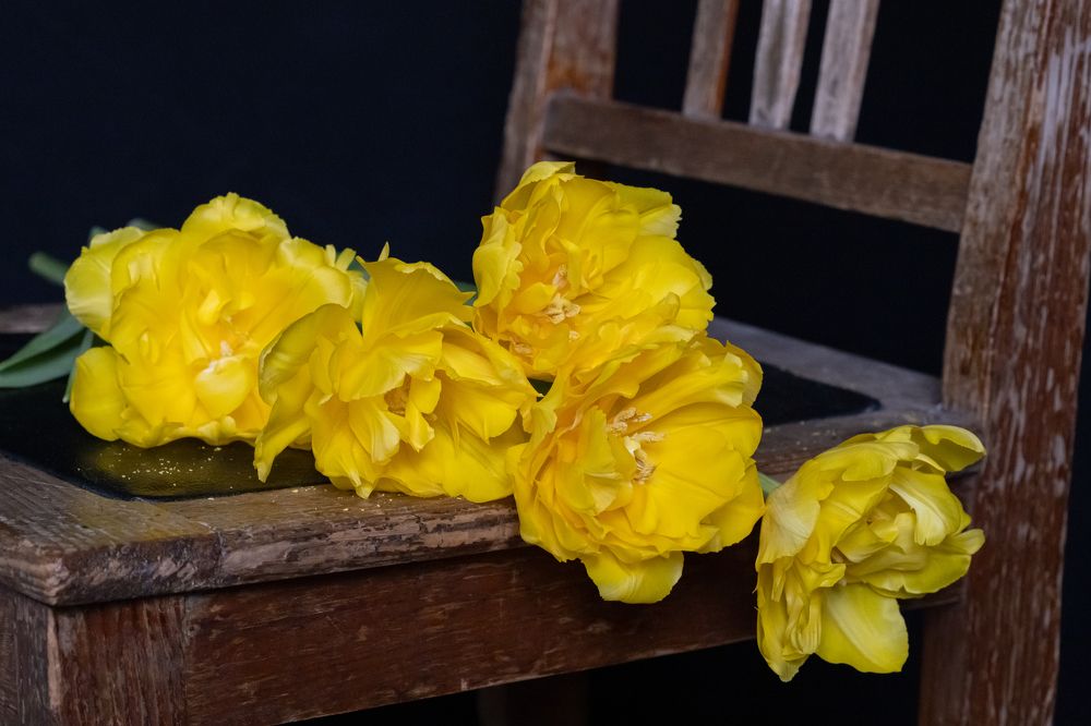 Photograph by Оксана Корчагина