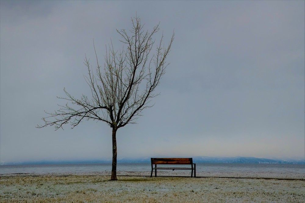 winter solitude