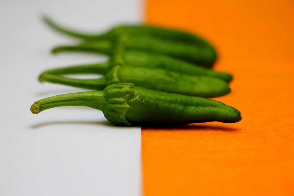 Photograph by Marziyeh Nasiri