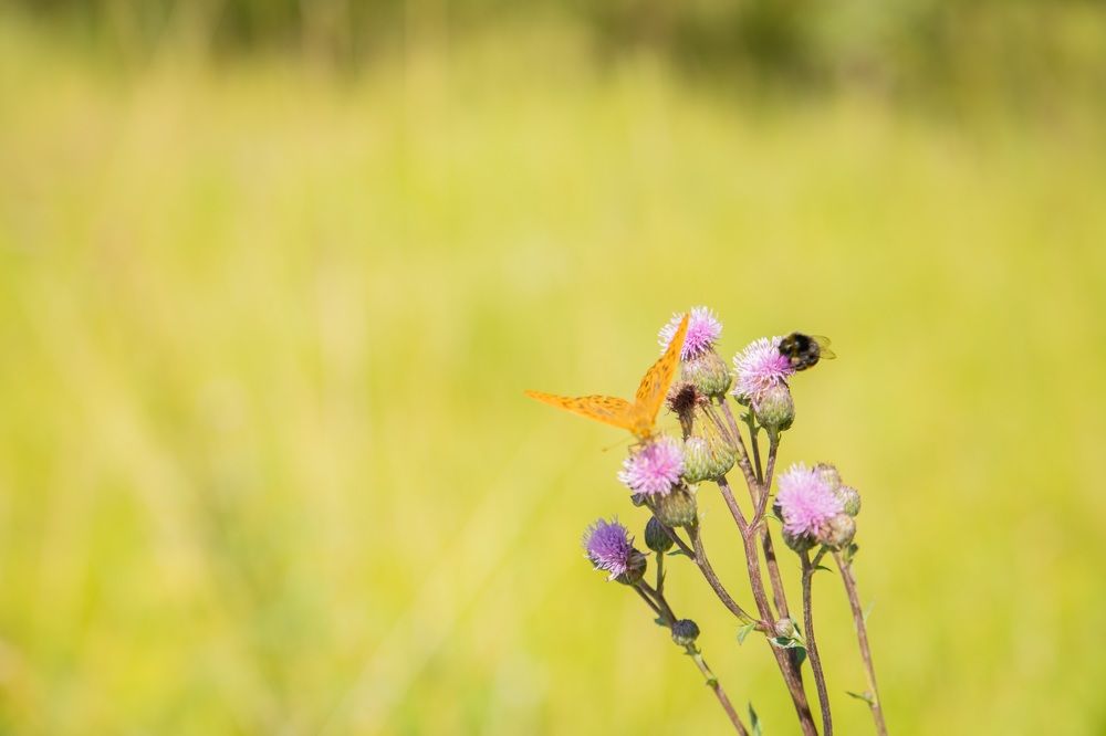 Photograph by Oksana Troshina