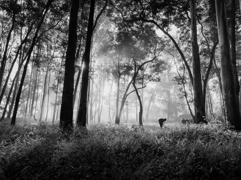 Photograph by Sumaydeep Sen