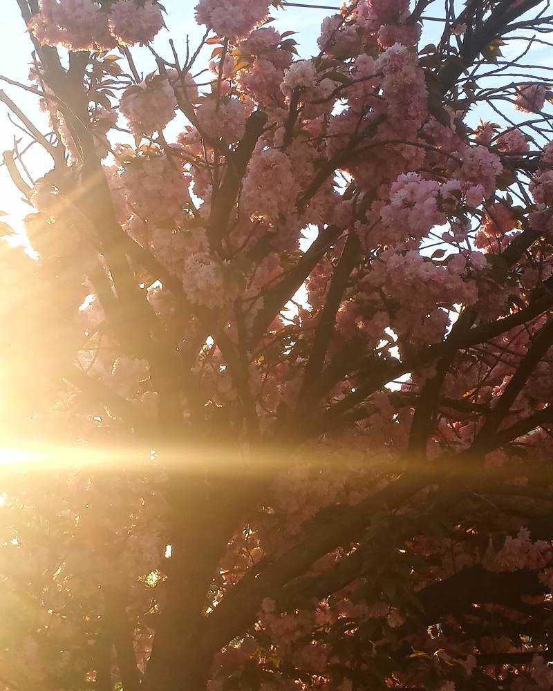 Фотография автора Tanja Grdijan