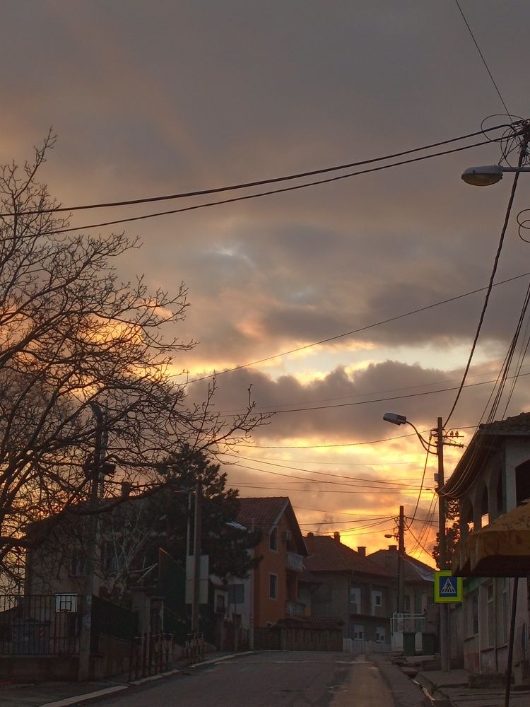 Фотография автора Tanja Grdijan