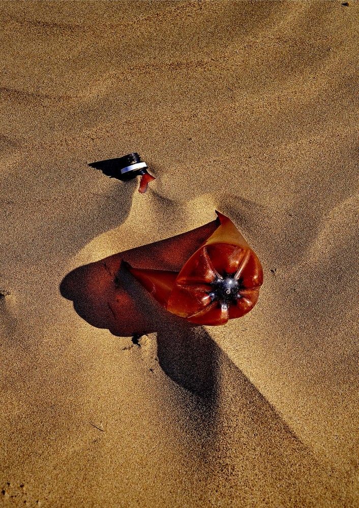 Photograph by Сергей Дружаев