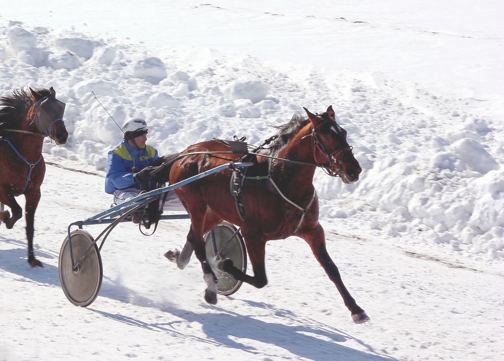 Photograph by Владимир Полотов
