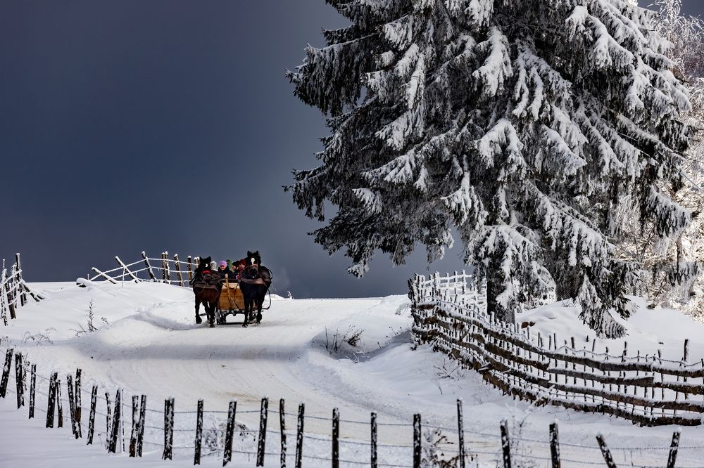 Photograph by Adrian Grigore