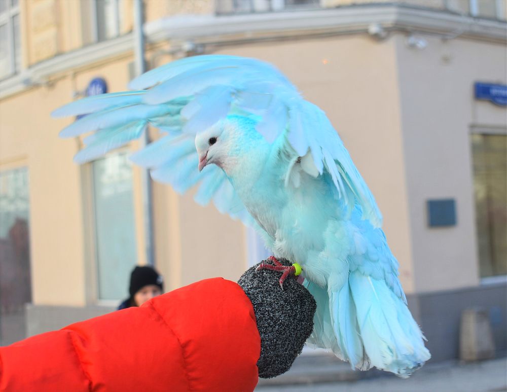 Photograph by Сергей Иванович Носов