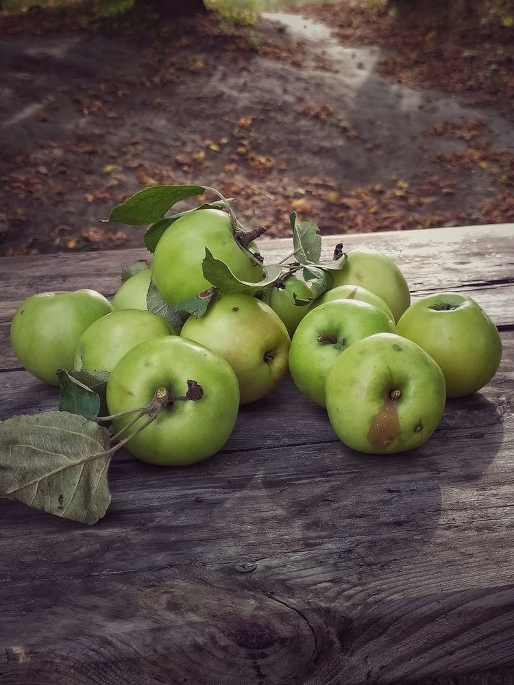 Яблочный Спас