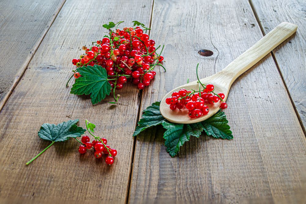 Photograph by Денис Кичев