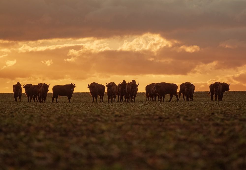 Photograph by Катарина Коземерчак