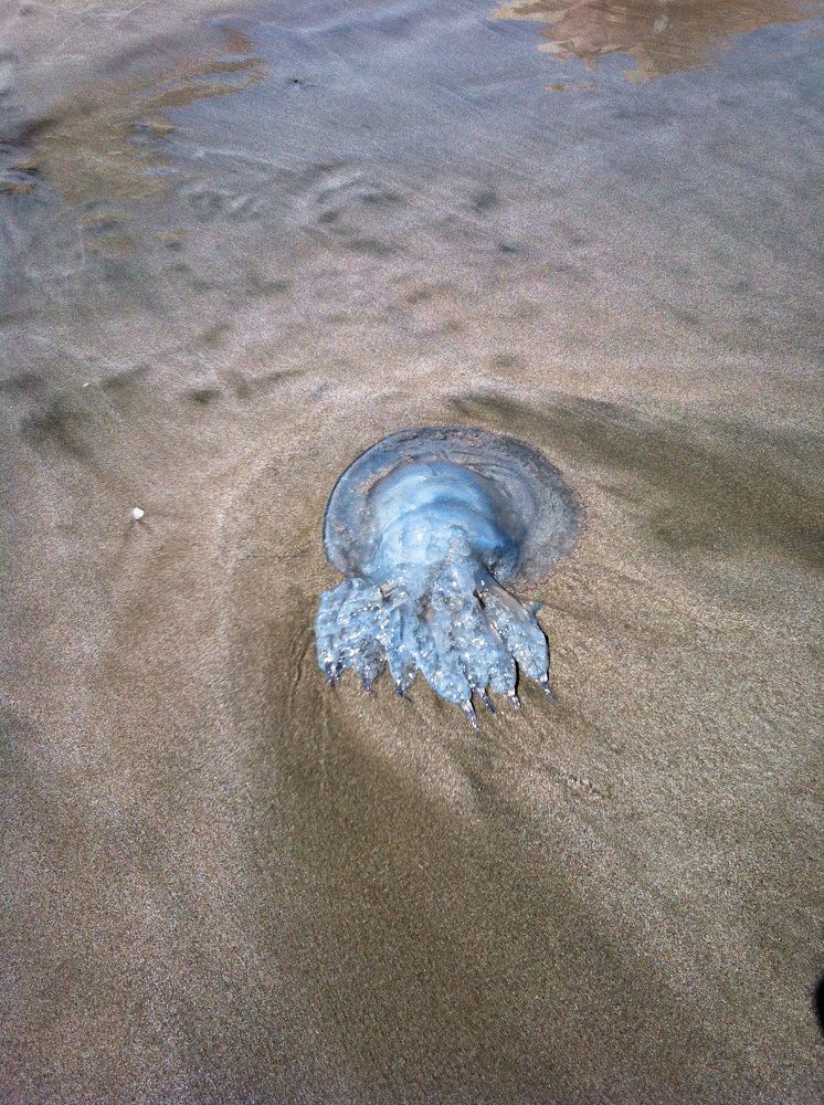 Photograph by Юлия Лис-а