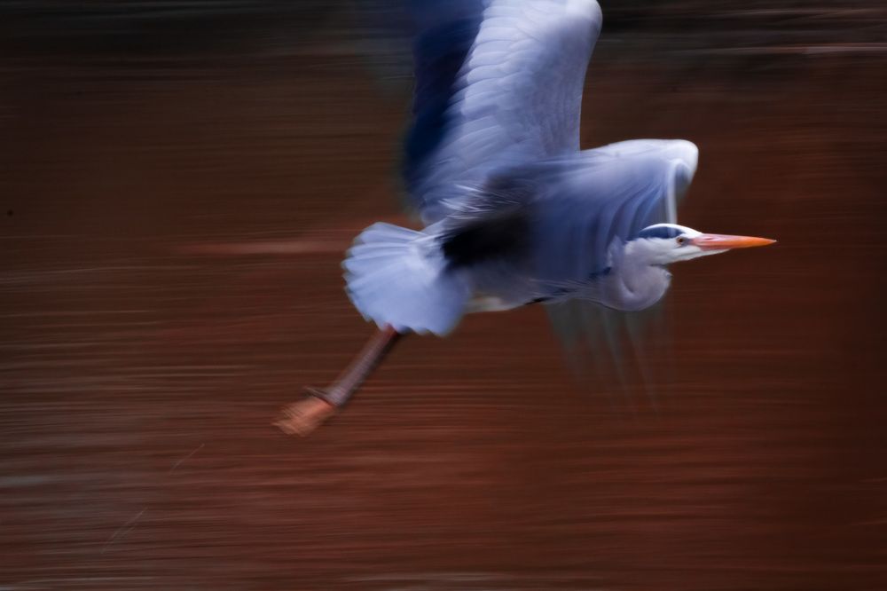 Photograph by Катарина Коземерчак