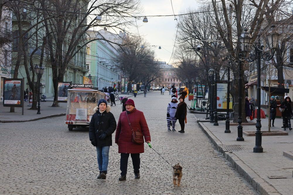 Photograph by Александра Малиновская