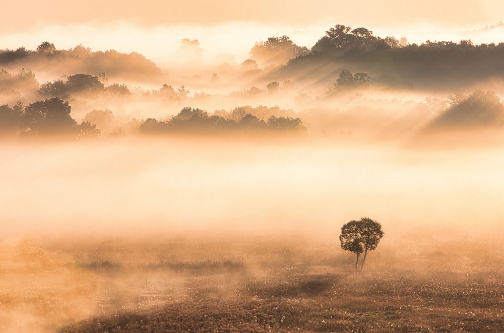 Photograph by Барабанов Алексей