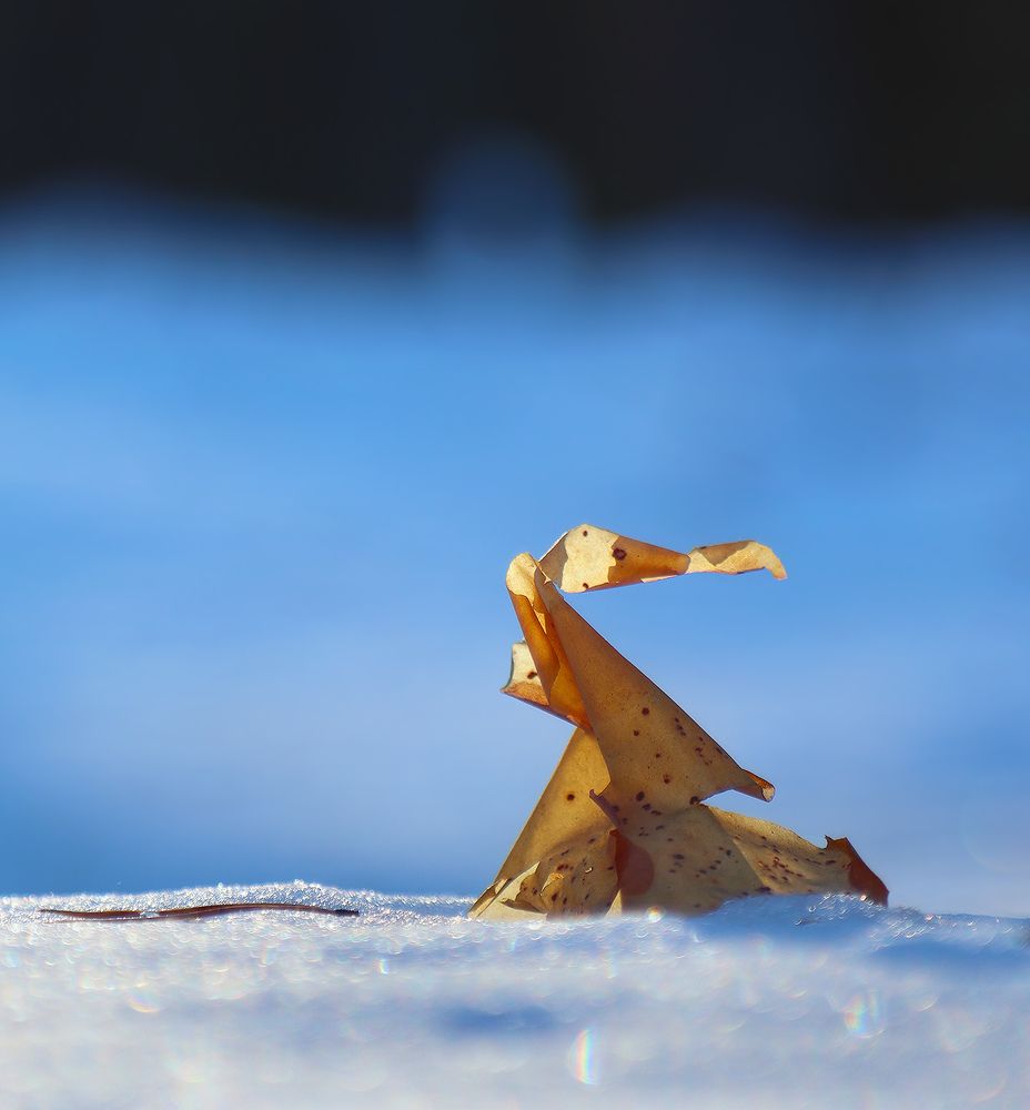 Photograph by Олег Фокин