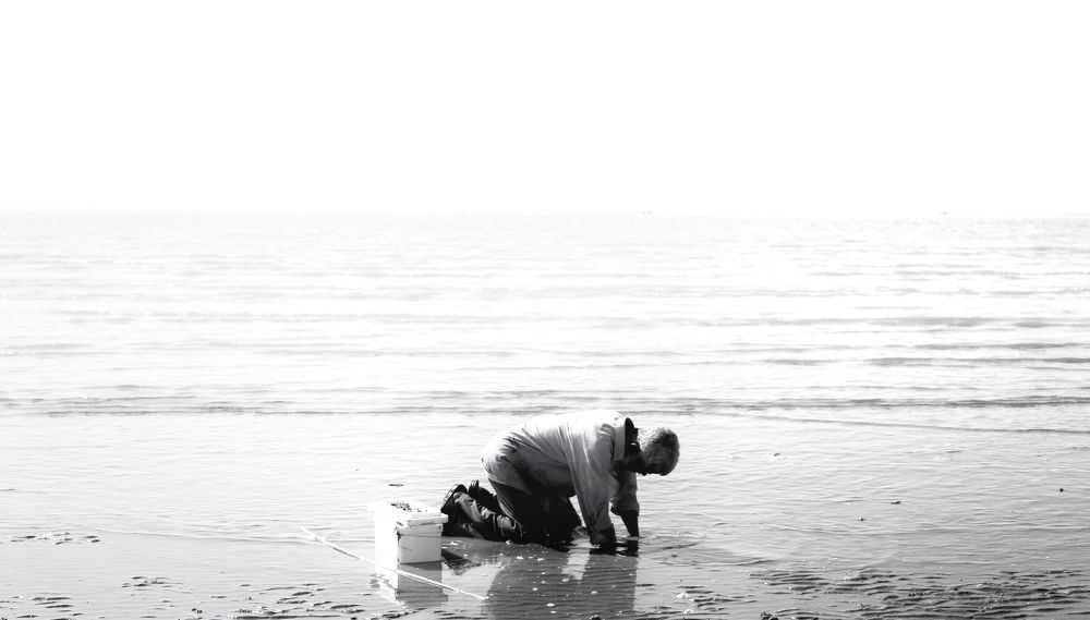 Photograph by Kimia Zarei