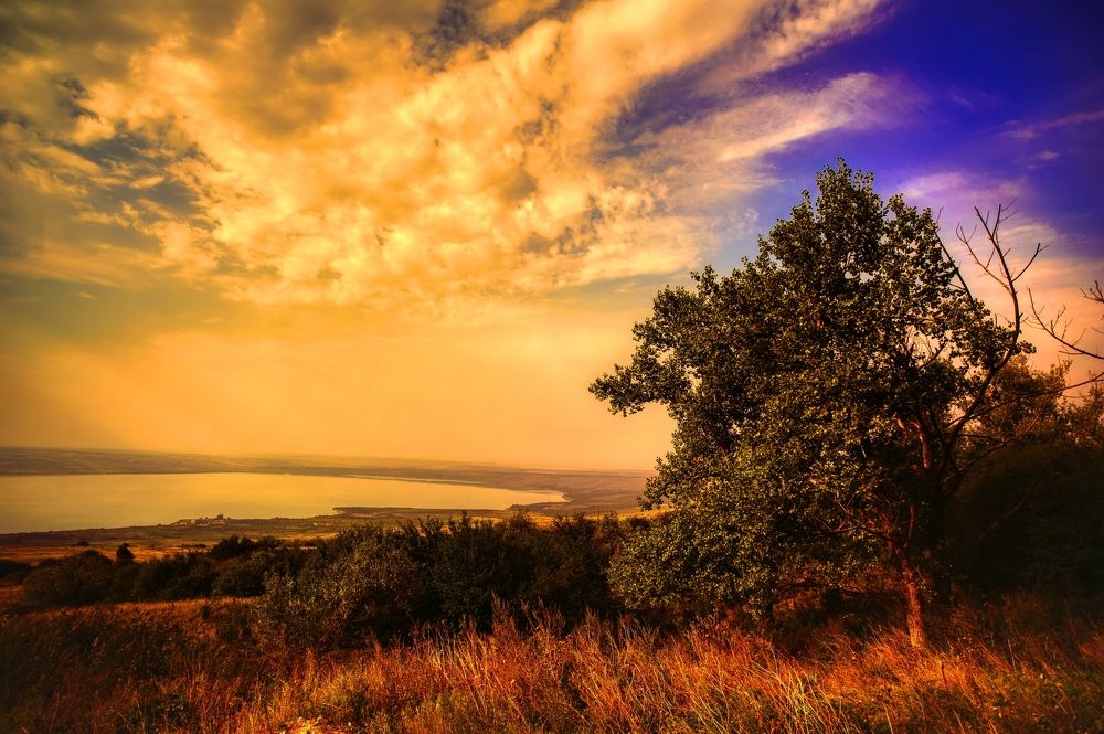 Photograph by Игорь Жуков