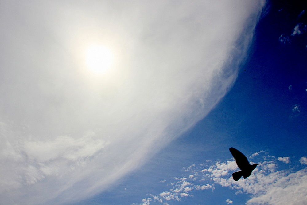 Photograph by Жанна Валиева