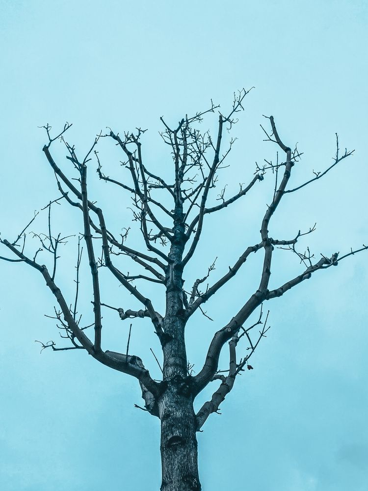 Photograph by Владимир Петухов
