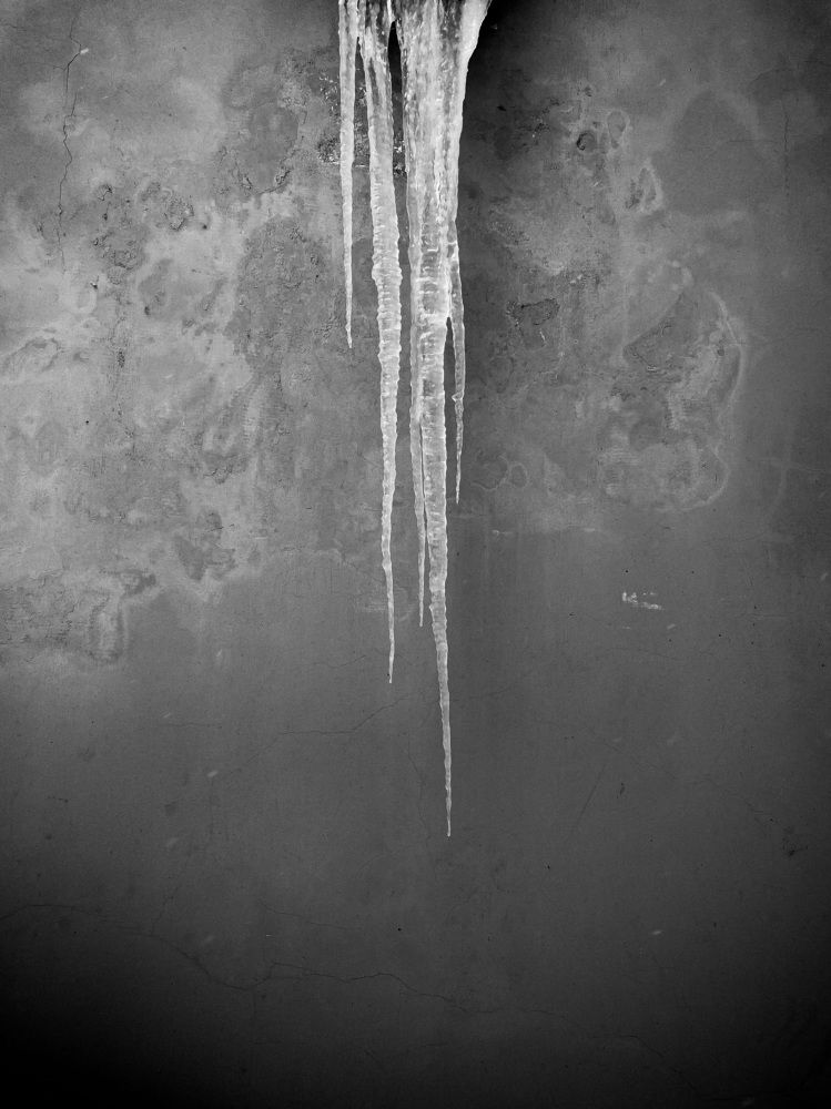 Photograph by Владимир Петухов