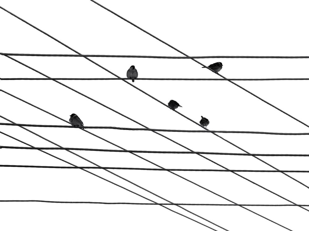 Photograph by Александр Гец