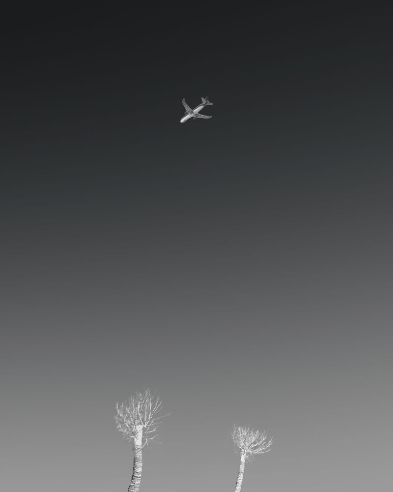 Photograph by Иван Сазыкин