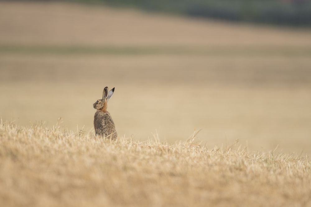 Photograph by Ernestas Balcikonis