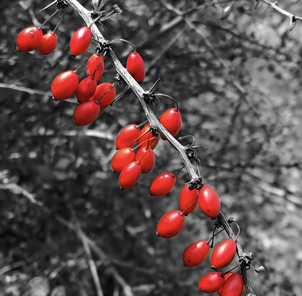 Photograph by Марина