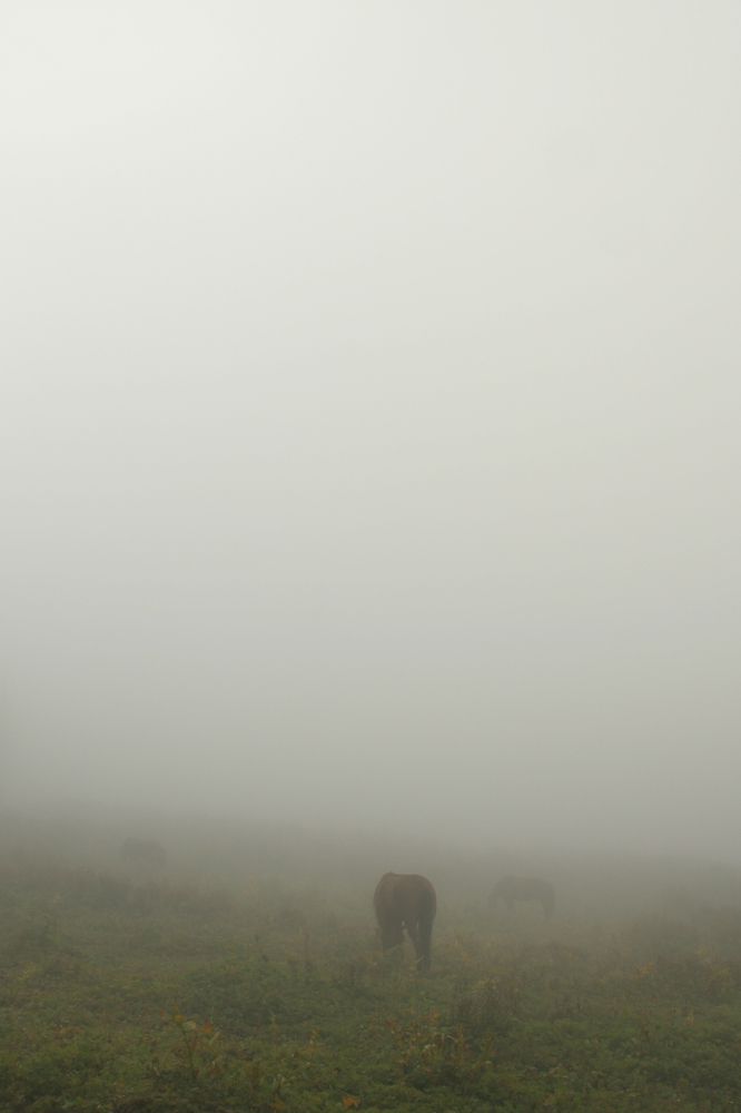 Photograph by Ирина Богатырева