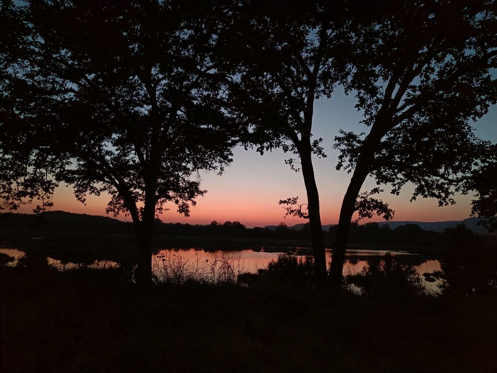 Photograph by Preet saluja