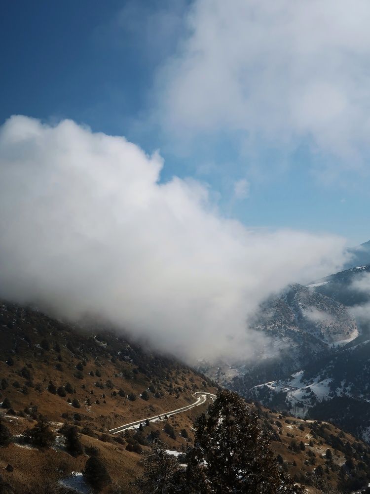 Photograph by Julliya