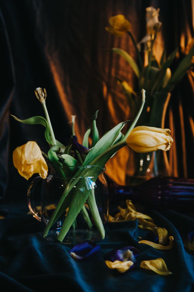 Photograph by Anna Zhovner