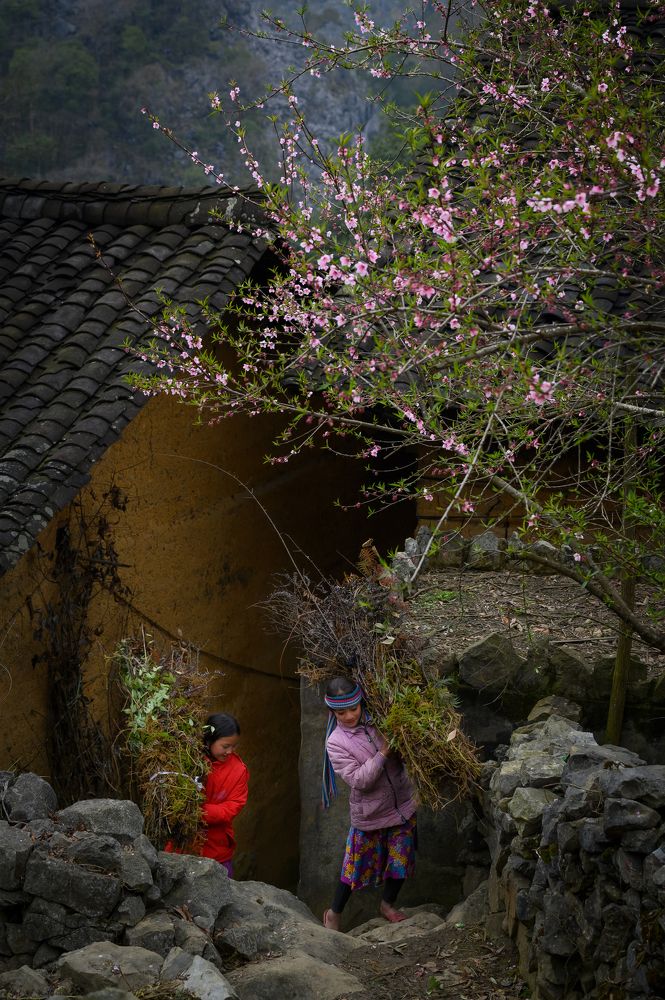 Spring in the mountain village
