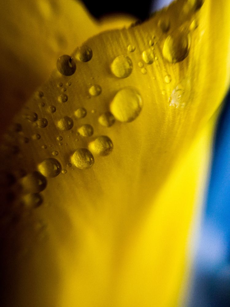 Photograph by Дарья