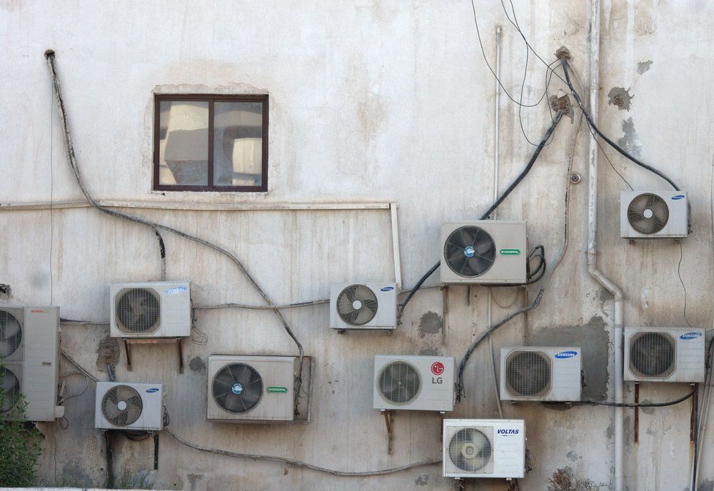 Photograph by Elena Sobol