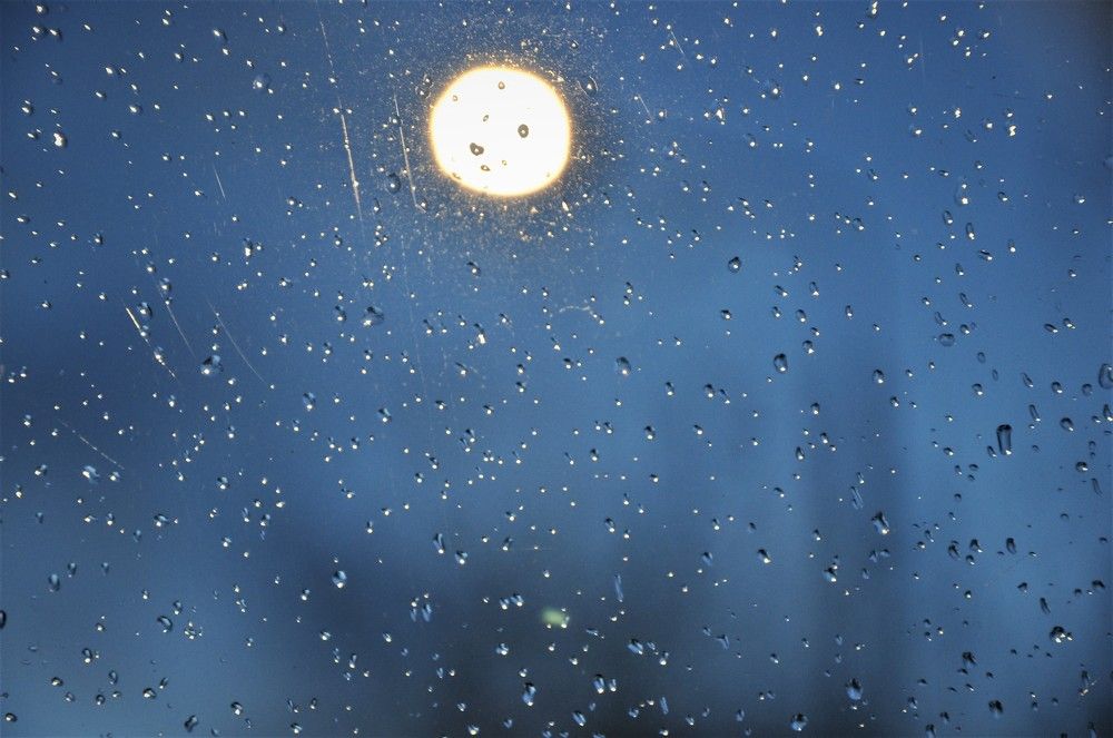 Photograph by Юлия Лис-а