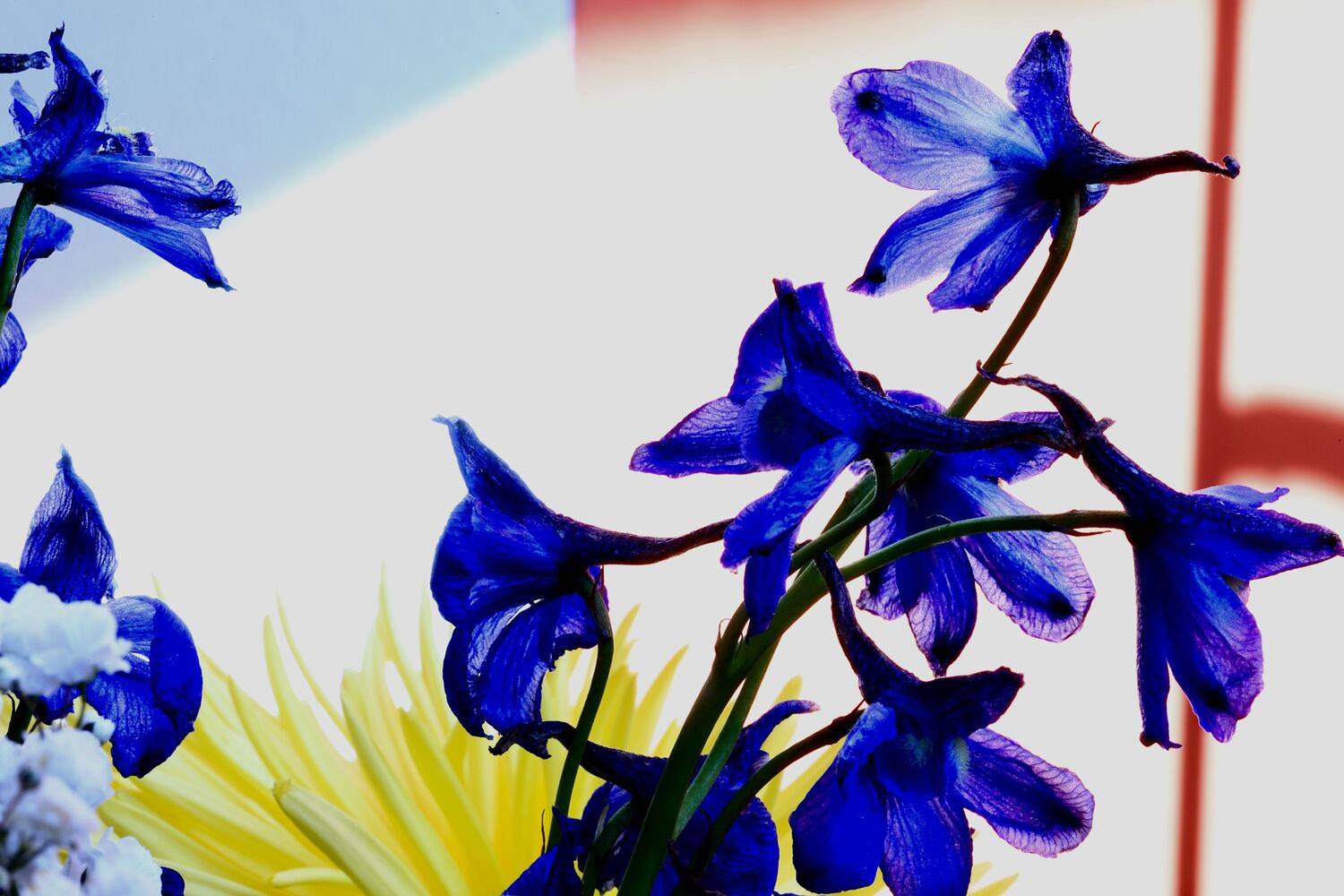 Фотография #7433377