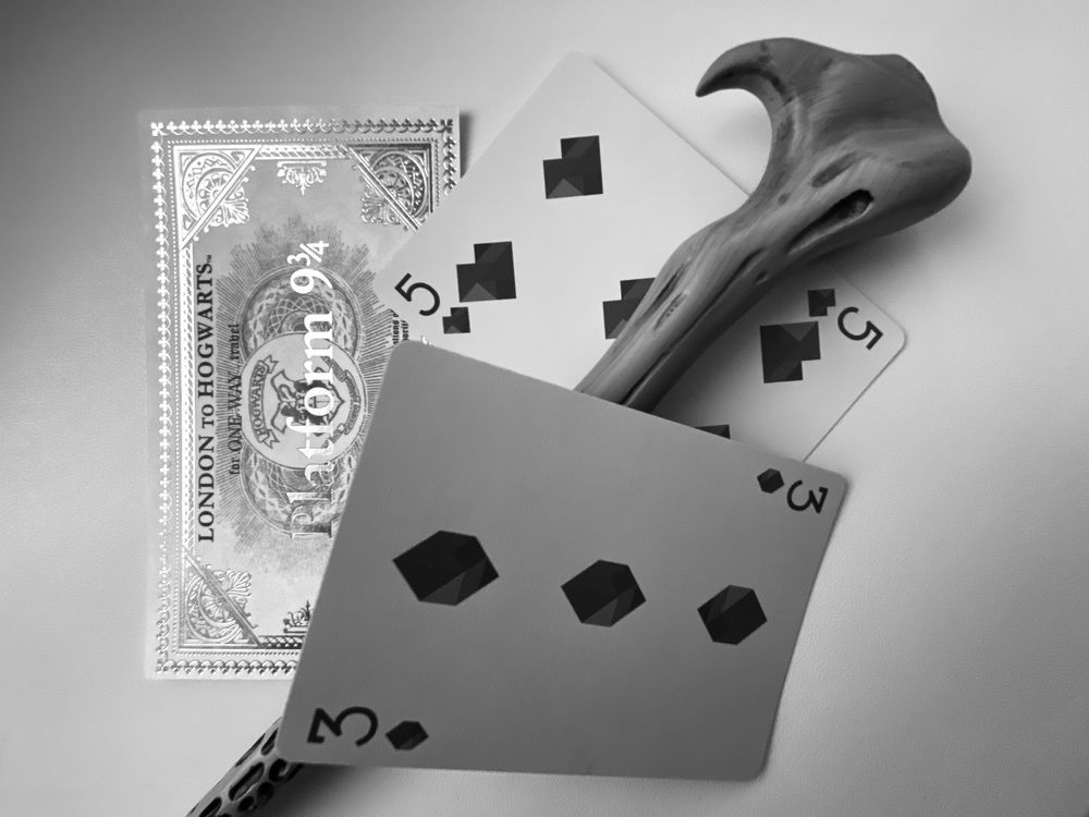 Фотография автора Анна Могилева