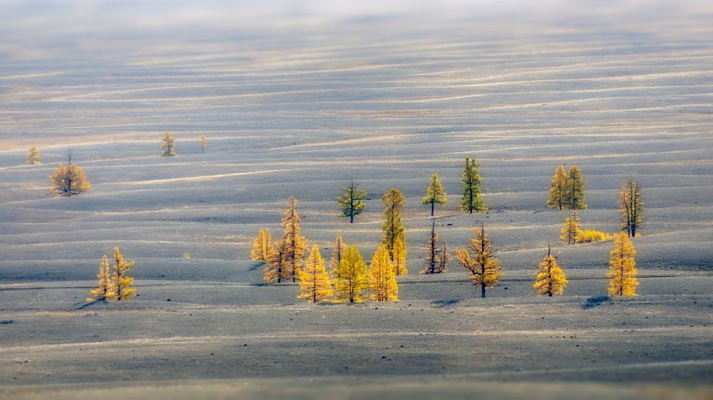 Photograph by Николай Васильев