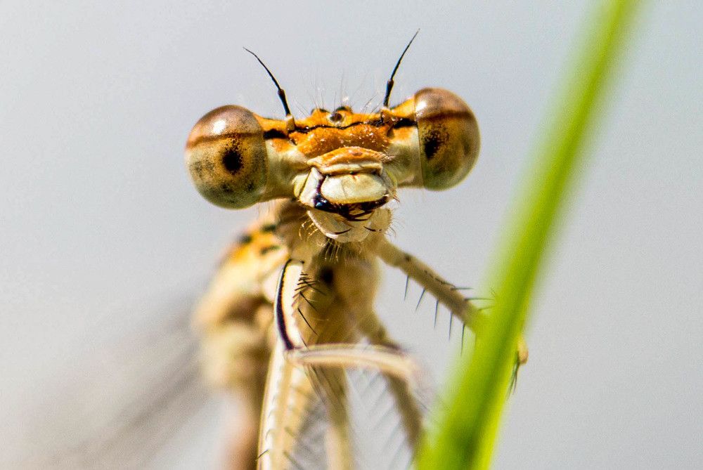 Photograph by Светлана Катанцева