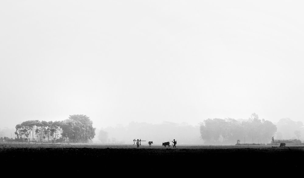 Photograph by Jamil sharafat